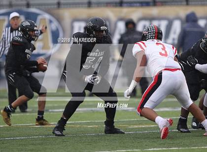 Thumbnail 1 in Harrisburg vs. Coatesville (PIAA 6A Semifinal) photogallery.