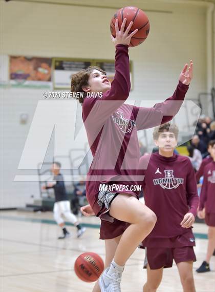 Thumbnail 3 in Basha @ Hamilton photogallery.