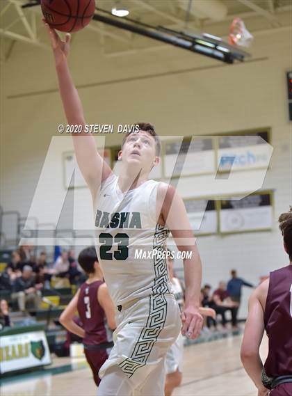 Thumbnail 2 in Basha @ Hamilton photogallery.