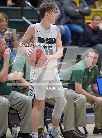 Thumbnail 2 in Basha @ Hamilton photogallery.