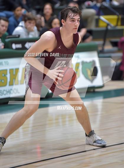 Thumbnail 1 in Basha @ Hamilton photogallery.