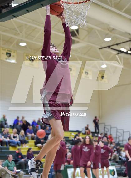 Thumbnail 2 in Basha @ Hamilton photogallery.