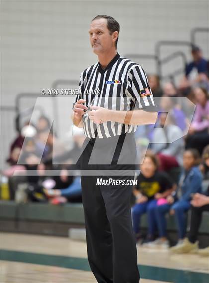 Thumbnail 2 in Basha @ Hamilton photogallery.