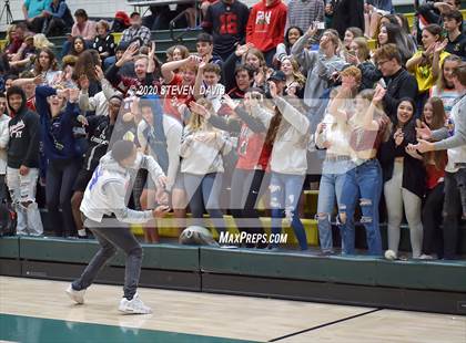 Thumbnail 3 in Basha @ Hamilton photogallery.