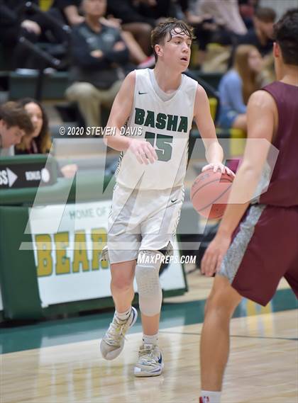 Thumbnail 2 in Basha @ Hamilton photogallery.