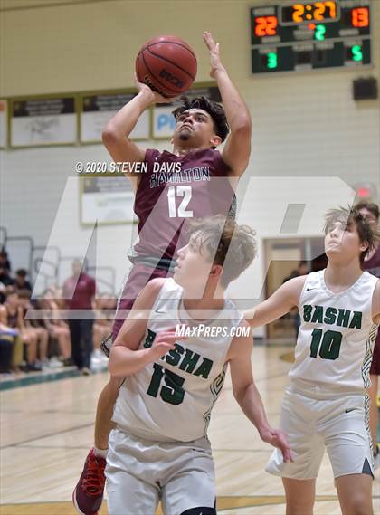 Thumbnail 2 in Basha @ Hamilton photogallery.