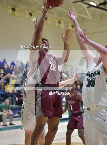 Thumbnail 2 in Basha @ Hamilton photogallery.