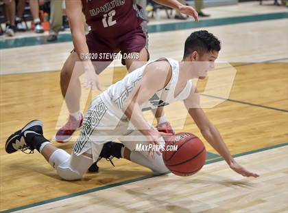 Thumbnail 3 in Basha @ Hamilton photogallery.