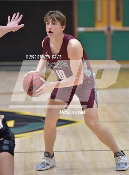 Thumbnail 2 in Basha @ Hamilton photogallery.