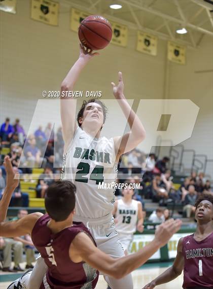 Thumbnail 3 in Basha @ Hamilton photogallery.