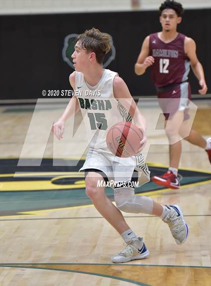 Thumbnail 1 in Basha @ Hamilton photogallery.