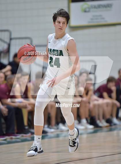 Thumbnail 3 in Basha @ Hamilton photogallery.