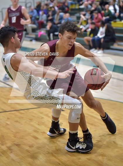 Thumbnail 2 in Basha @ Hamilton photogallery.