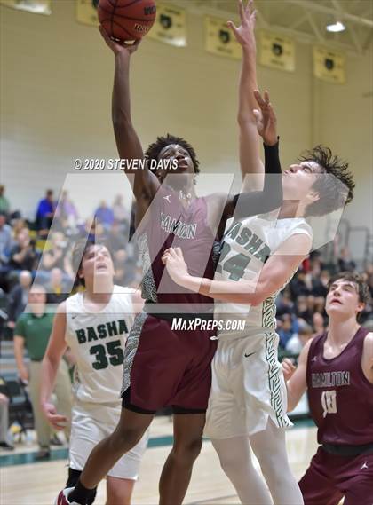 Thumbnail 3 in Basha @ Hamilton photogallery.