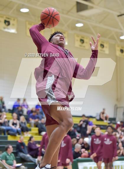 Thumbnail 3 in Basha @ Hamilton photogallery.