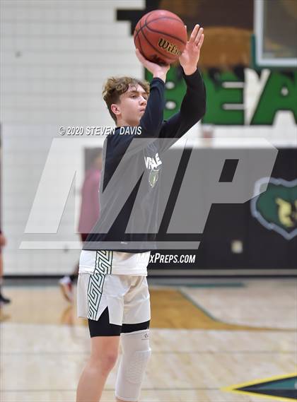 Thumbnail 2 in Basha @ Hamilton photogallery.
