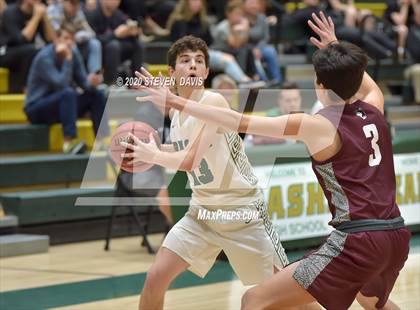Thumbnail 3 in Basha @ Hamilton photogallery.