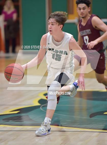Thumbnail 3 in Basha @ Hamilton photogallery.
