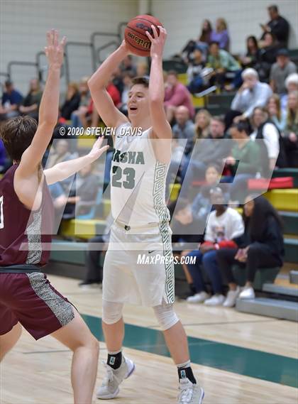 Thumbnail 2 in Basha @ Hamilton photogallery.