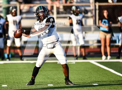Thumbnail 3 in Lake Ridge @ Rockwall-Heath photogallery.
