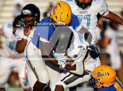 Thumbnail 2 in Pallotti @ Boyd-Buchanan photogallery.