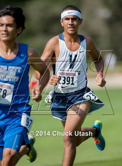 Thumbnail 1 in Stanford Invitational Boys 5K Division 1 Race photogallery.