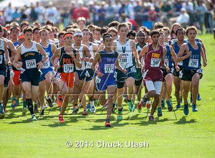 Thumbnail 1 in Stanford Invitational Boys 5K Division 1 Race photogallery.