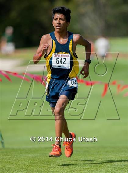 Thumbnail 1 in Stanford Invitational Boys 5K Division 1 Race photogallery.