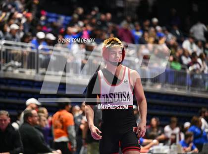 Thumbnail 1 in UIL 5A/6A State Championships - Session 5 photogallery.