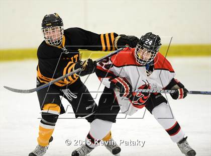 Thumbnail 2 in Amity Regional @ Branford photogallery.