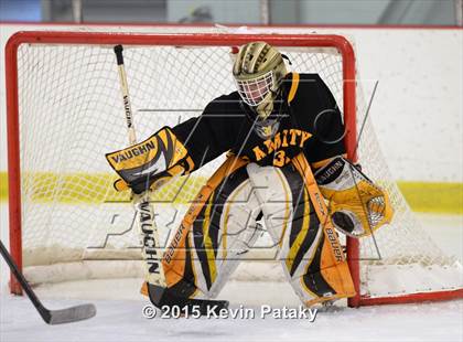 Thumbnail 3 in Amity Regional @ Branford photogallery.