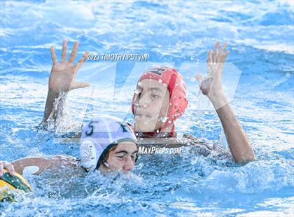 Thumbnail 1 in Ayala vs Royal (CIF SS Division 5) photogallery.