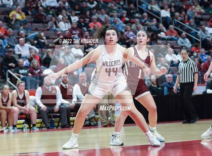 Thumbnail 1 in Mechanicsburg vs. Gettysburg (PIAA District 3 5A Final) photogallery.