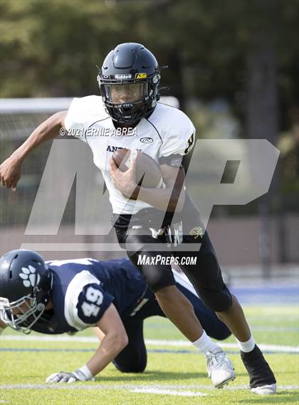 Thumbnail 3 in Antioch @ Marin Catholic photogallery.