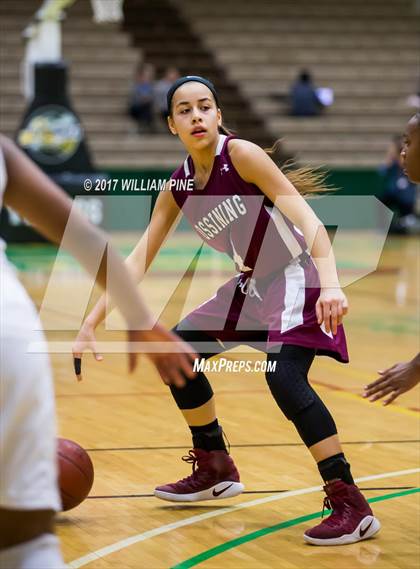 Thumbnail 3 in Baldwin vs. Ossining (NYSPHSAA Class AA Final) photogallery.