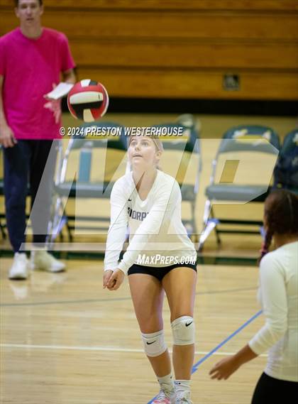 Thumbnail 2 in FR: Camarillo @ Moorpark photogallery.