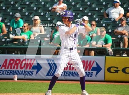 Thumbnail 1 in Thrall vs. Wall (UIL Baseball 3A D2 Final) photogallery.