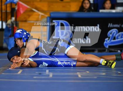 Thumbnail 1 in Charter Oak @ Diamond Ranch photogallery.