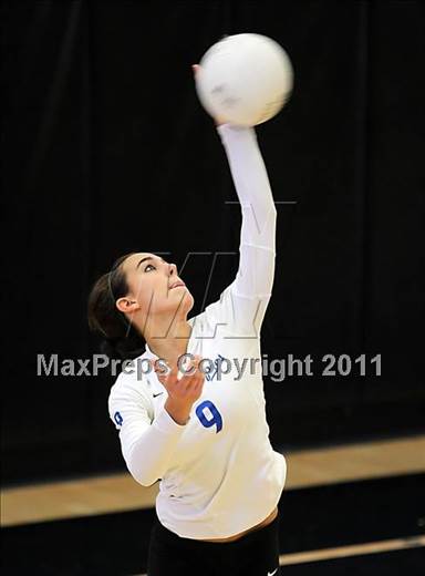 null - Photo 31