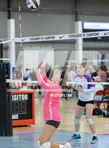 null - Photo 01