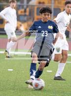 Photo from the gallery "Temple City @ Muir"