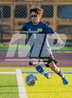 Photo from the gallery "Temple City @ Muir"