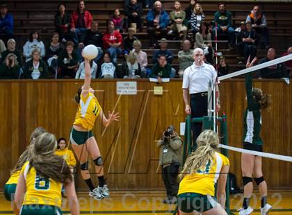 Thumbnail 3 in Placer vs. Vanden (CIF SJS D4 Playoffs) photogallery.