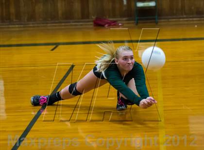 Thumbnail 2 in Placer vs. Vanden (CIF SJS D4 Playoffs) photogallery.