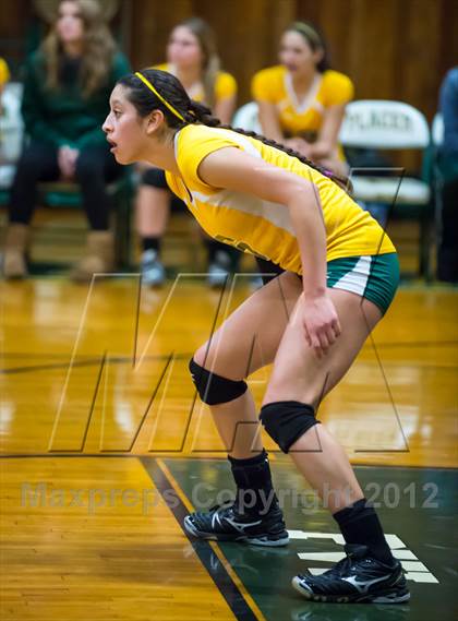Thumbnail 3 in Placer vs. Vanden (CIF SJS D4 Playoffs) photogallery.