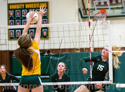 Thumbnail 1 in Placer vs. Vanden (CIF SJS D4 Playoffs) photogallery.