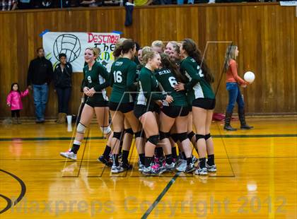Thumbnail 2 in Placer vs. Vanden (CIF SJS D4 Playoffs) photogallery.