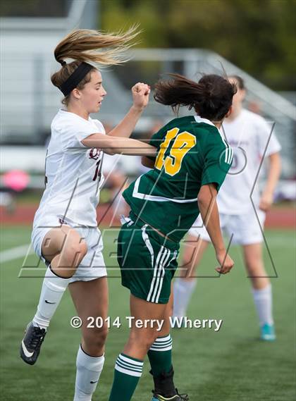 Thumbnail 1 in Williamsville North @ Orchard Park photogallery.