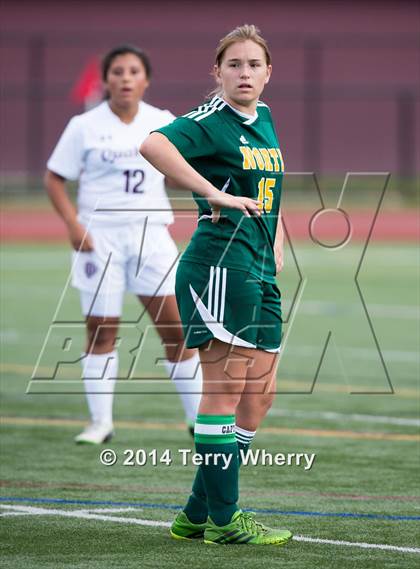 Thumbnail 1 in Williamsville North @ Orchard Park photogallery.