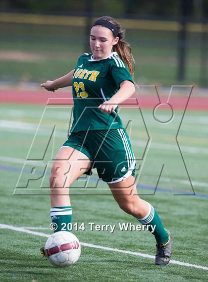 Thumbnail 1 in Williamsville North @ Orchard Park photogallery.